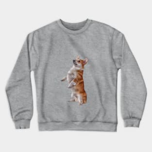 Drawing Dog Welsh Corgi Crewneck Sweatshirt